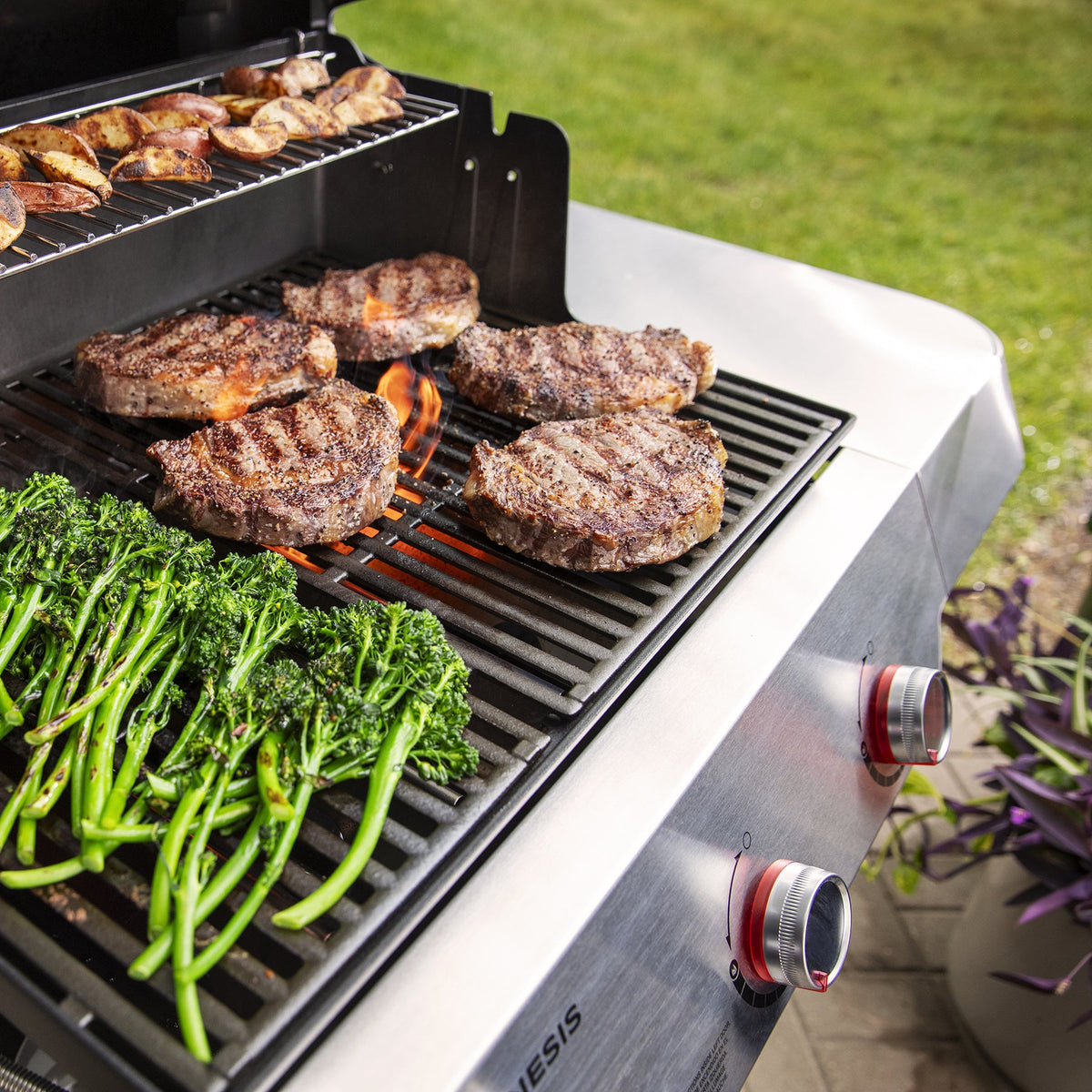 Weber Genesis E-315 Gas Grill (Natural Gas) product view 4