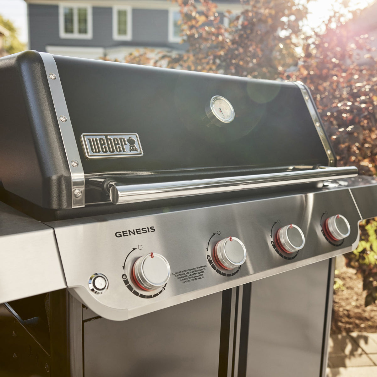 Weber Genesis E-415 Gas Grill (Liquid Propane) product view 3
