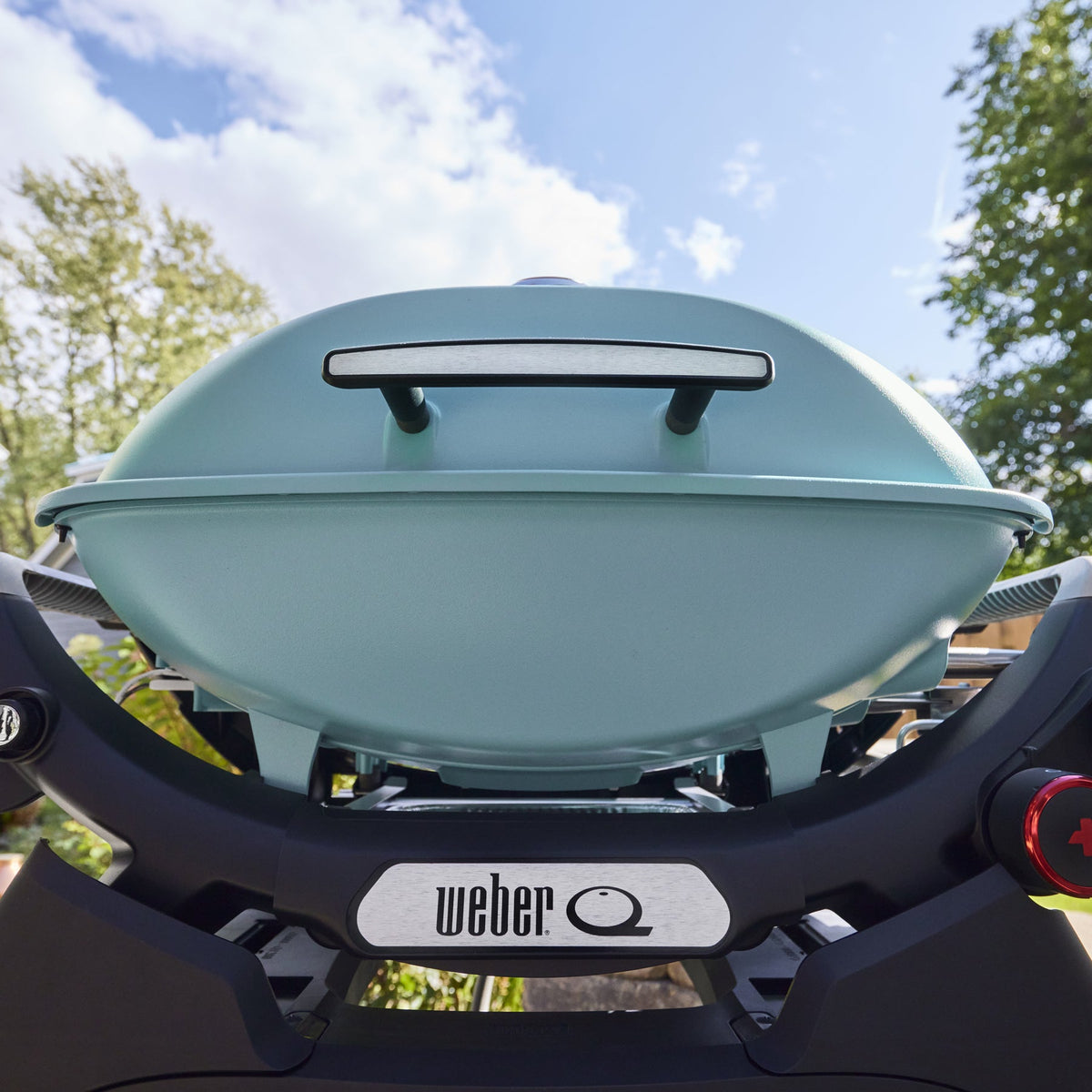 Weber Q 2800N+ Gas Grill (Liquid Propane) product view 1