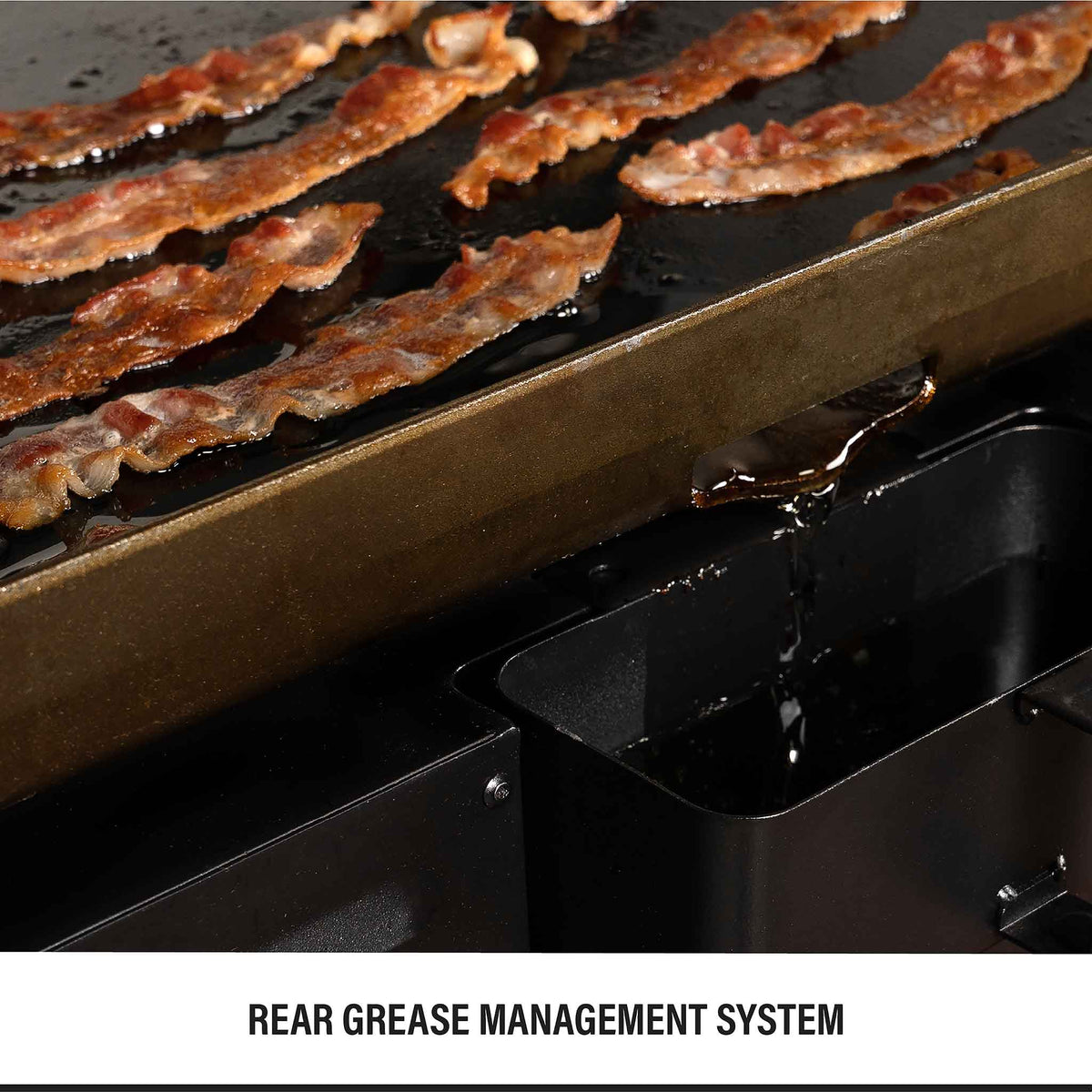 Blackstone 28" AirFryer Combo product view 4