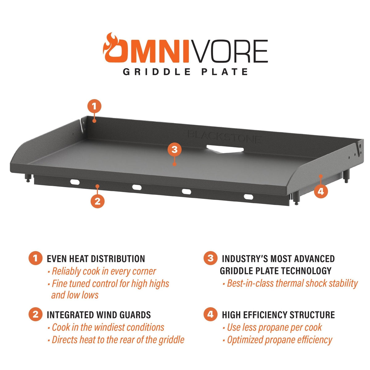 Blackstone 28" Built-in Griddle with Hood (Propane) product view 8