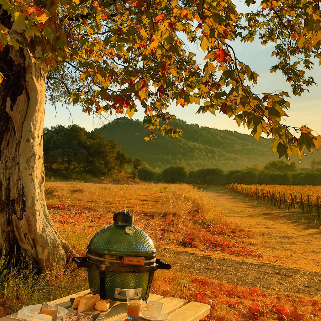 Big Green Egg MiniMax Big Green Egg product view 3