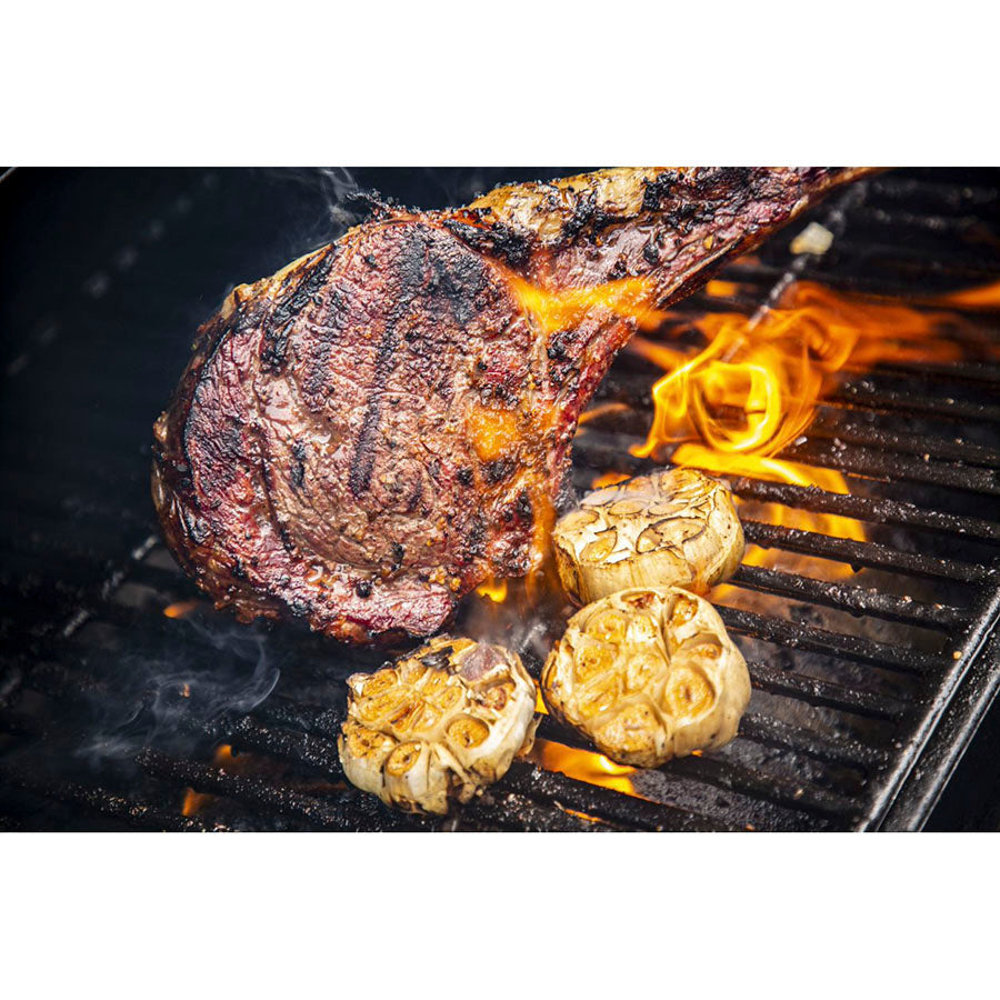 Pit Boss Pro Series 3 1600 Wood Pellet Grill product view 3