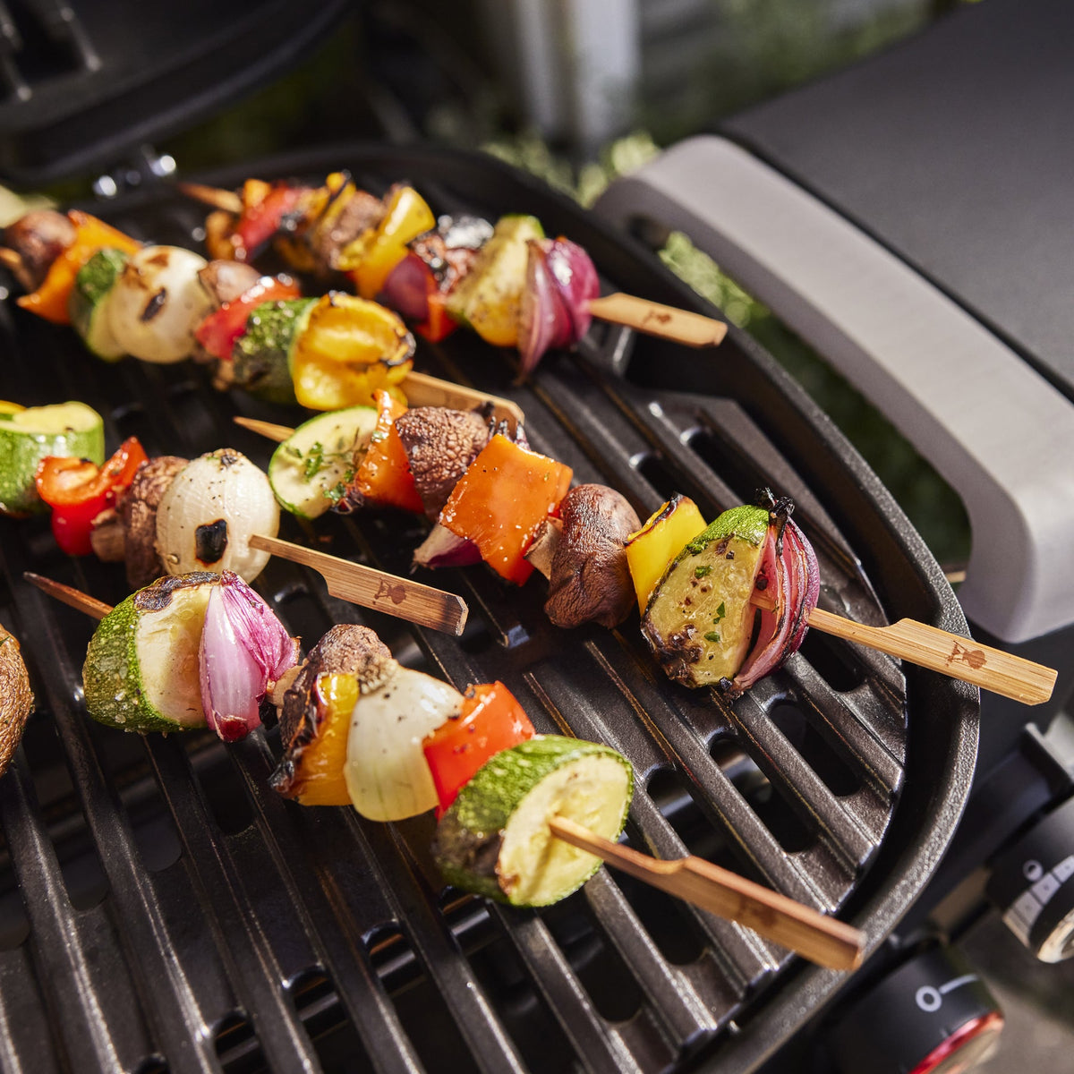 Weber Q 2800N+ Gas Grill (Liquid Propane) product view 4
