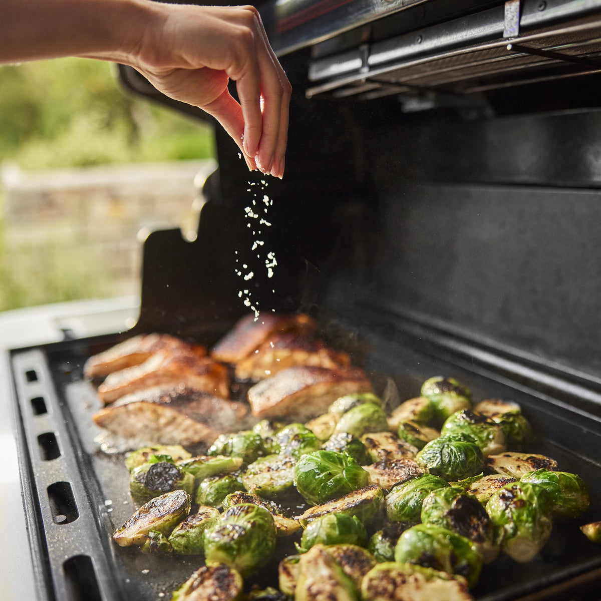 Weber Summit® FS38 S Gas Grill (Natural Gas) product view 8