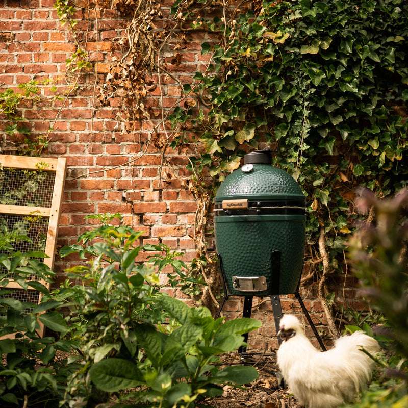 Big Green Egg Small Big Green Egg product view 1