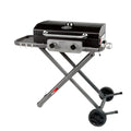 Expert Grill Portable 2-Burner Propane Gas Grill with Folding Legs, Black