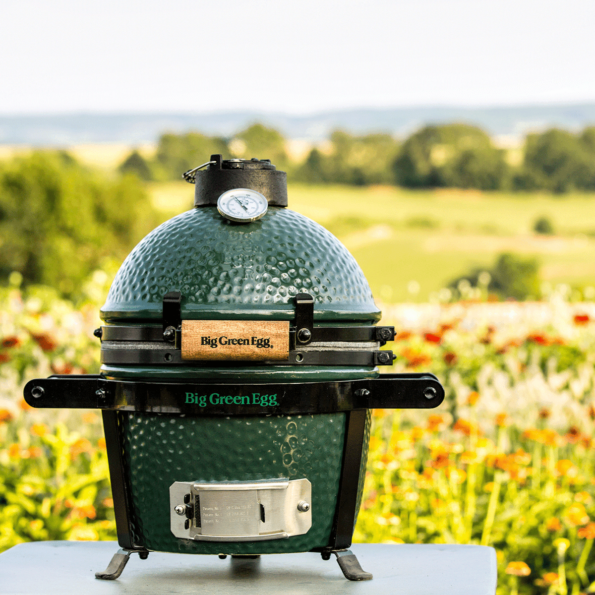 Big Green Egg Mini Big Green Egg product view 2