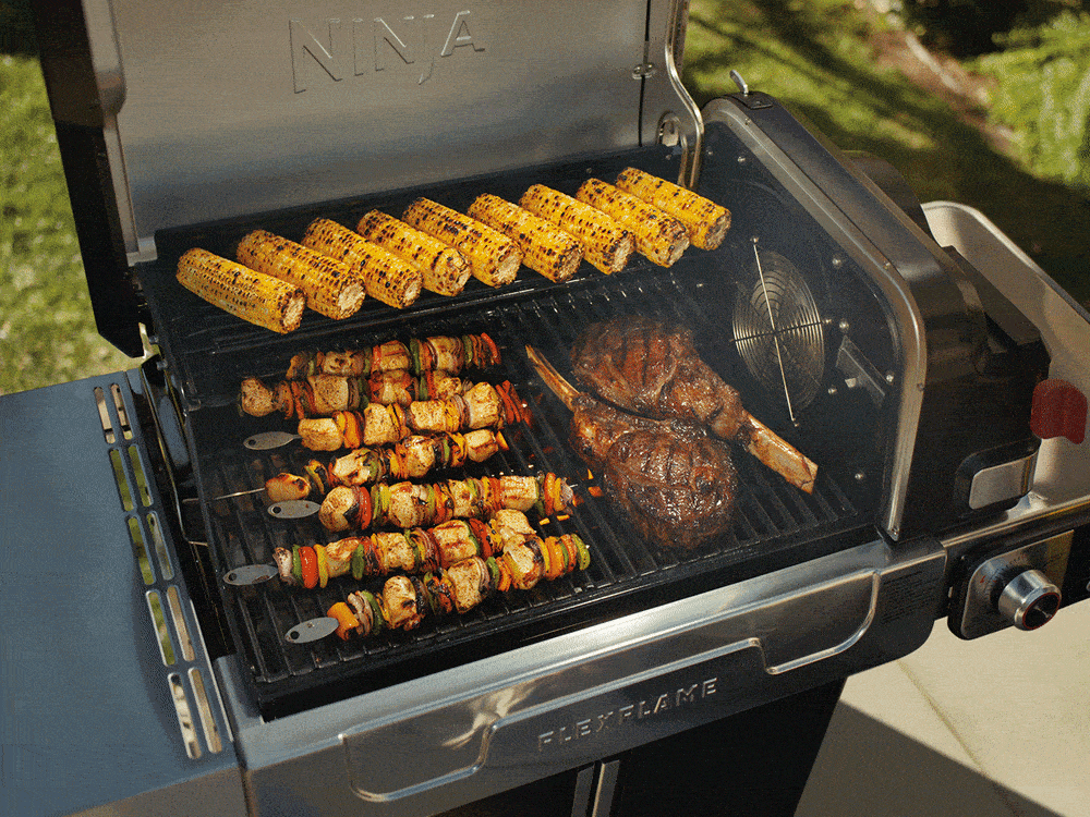 Ninja FlexFlame PG301 multi-function cooking highlight