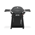 Weber Q 2800N+ Gas Grill with Stand (Liquid Propane)