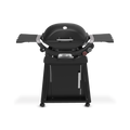 Weber Q 2800N+ Gas Grill with Stand (Liquid Propane)