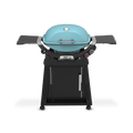Weber Q 2800N+ Gas Grill with Stand (Liquid Propane)